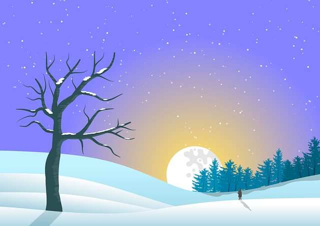 Solon Abboud tweet media