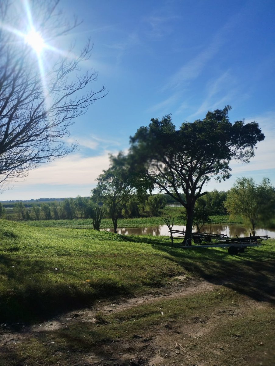 gringa 🩶 LN1 tweet media