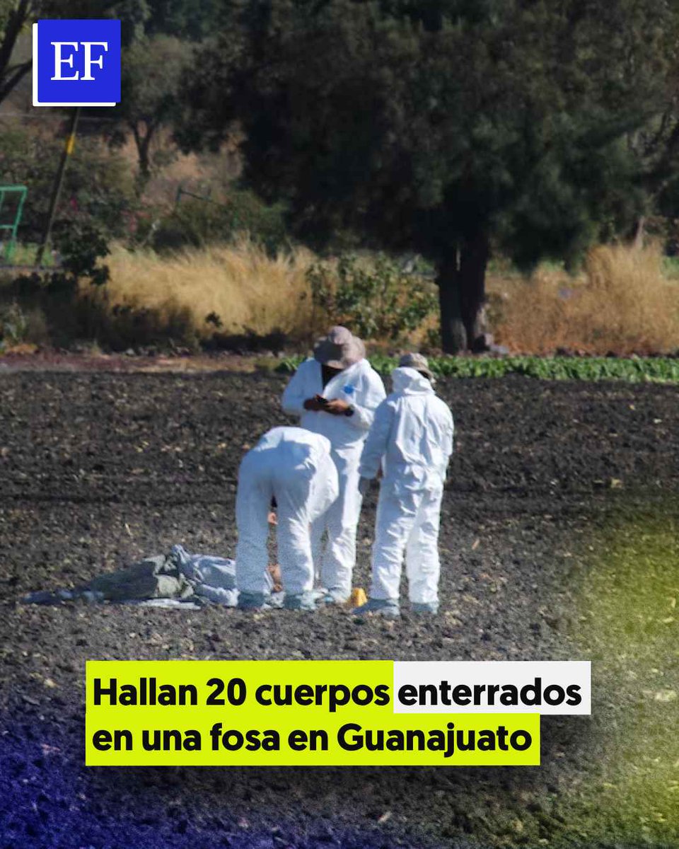 El Financiero tweet media