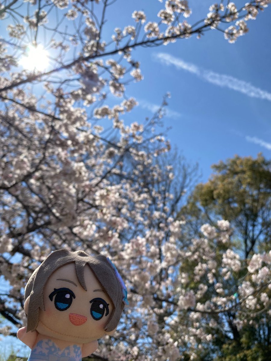 さわこ tweet media