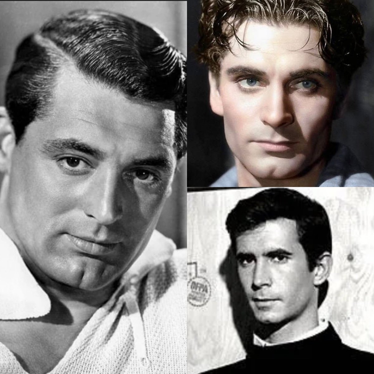 BlackCatVoodoo tweet media