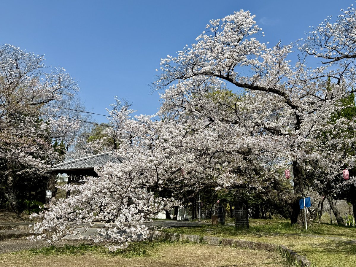 宮さん「G's 」Sphery Rendezvous名古屋2days東京ファイナル2days tweet media