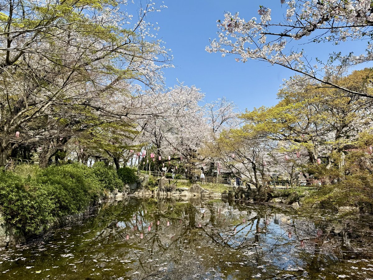 宮さん「G's 」Sphery Rendezvous名古屋2days東京ファイナル2days tweet media