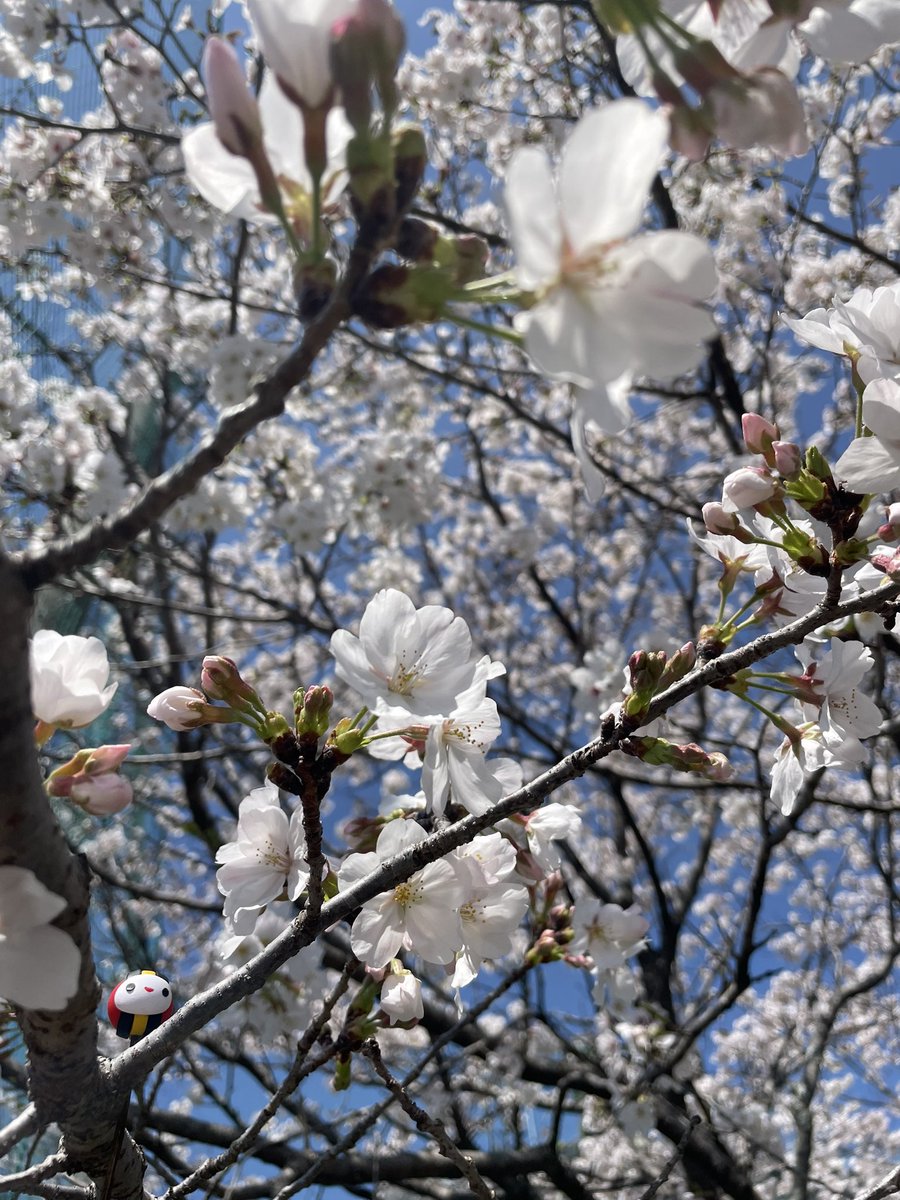 なるま tweet media