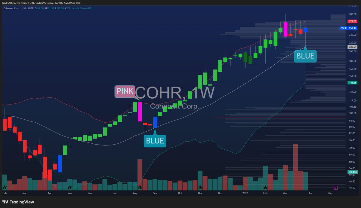 TradexWhisperer's tweet photo. $COHR is building toward another BLUE candle launch. Setup is there. Crossing fingers on geopolitics/macro sentiment.

Get 280+ charts daily. Try it free:
https://t.co/ZQDP5HCFyq https://t.co/1bjyGJoJIL