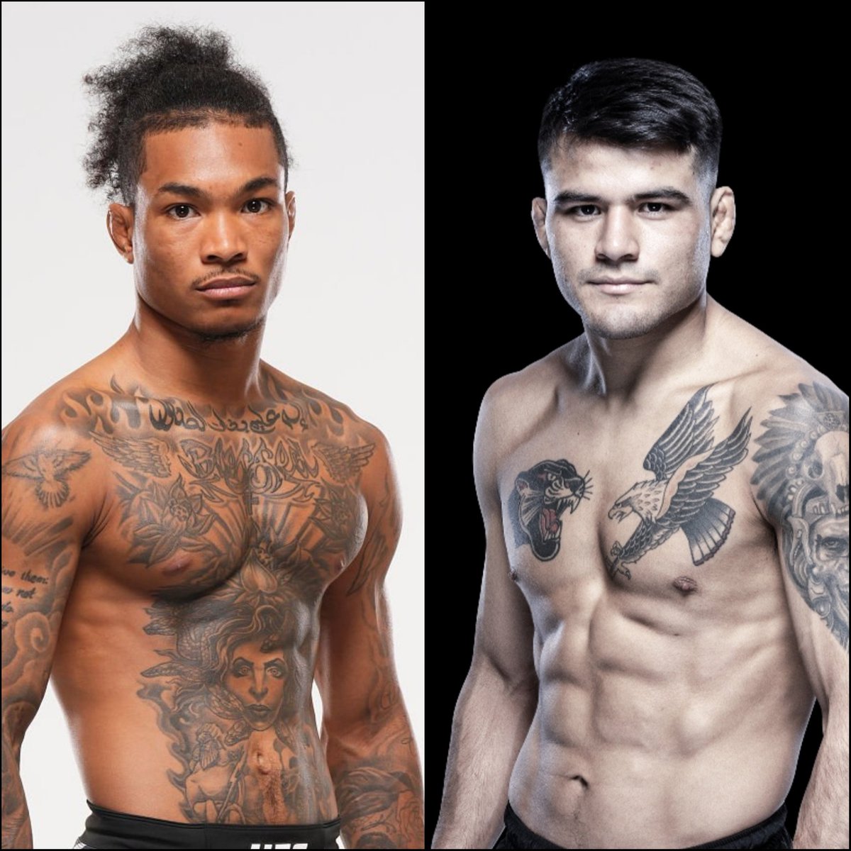 Marcel Dorff 🇳🇱🇮🇩 tweet media