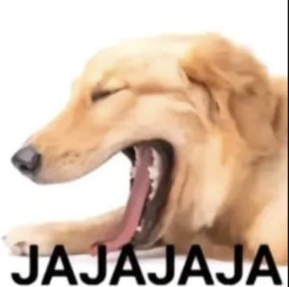 Mario_Luna tweet media