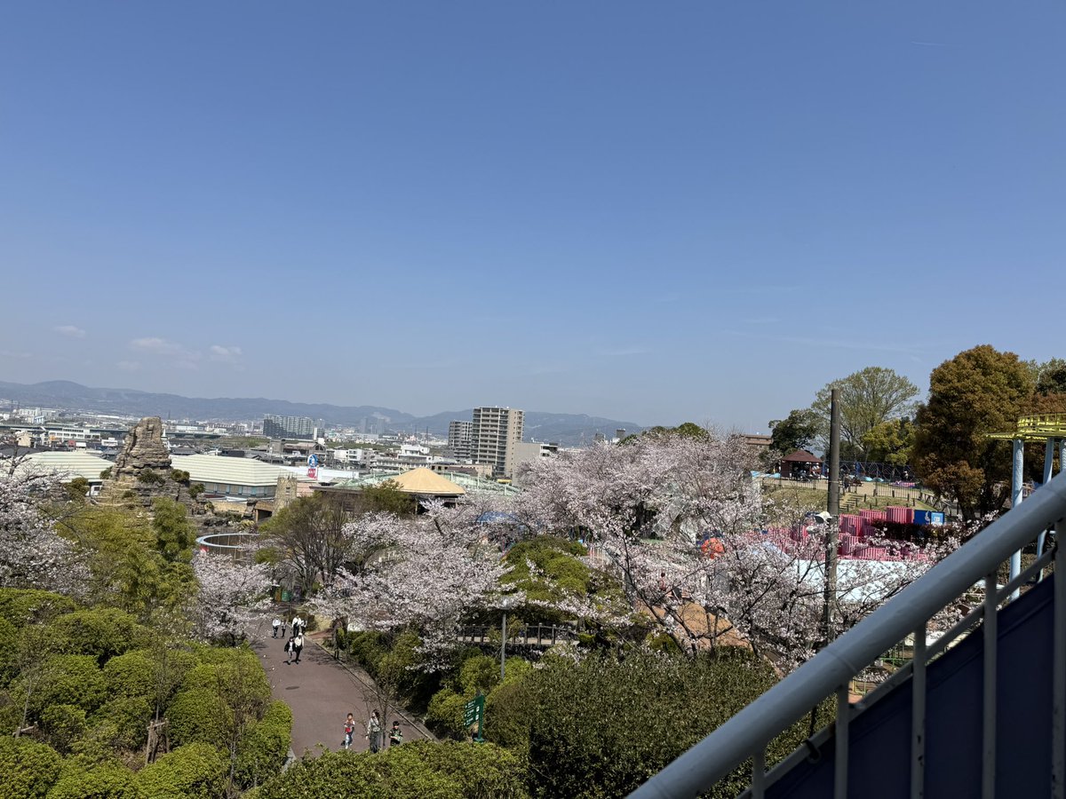 ℙ𝕣𝕖𝕥𝕥𝕪ℚ𝕌𝔸𝔻ℝ𝔸𝔻𝕆 tweet media