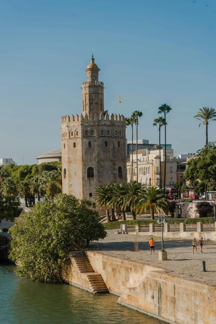 NatureRoot88's tweet photo. Seville, Spain https://t.co/pNIYVkjfFw