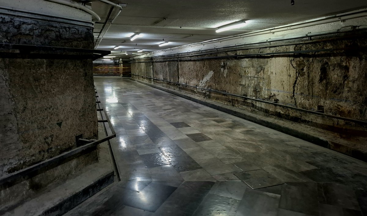 Salahadin 🫧 tweet media