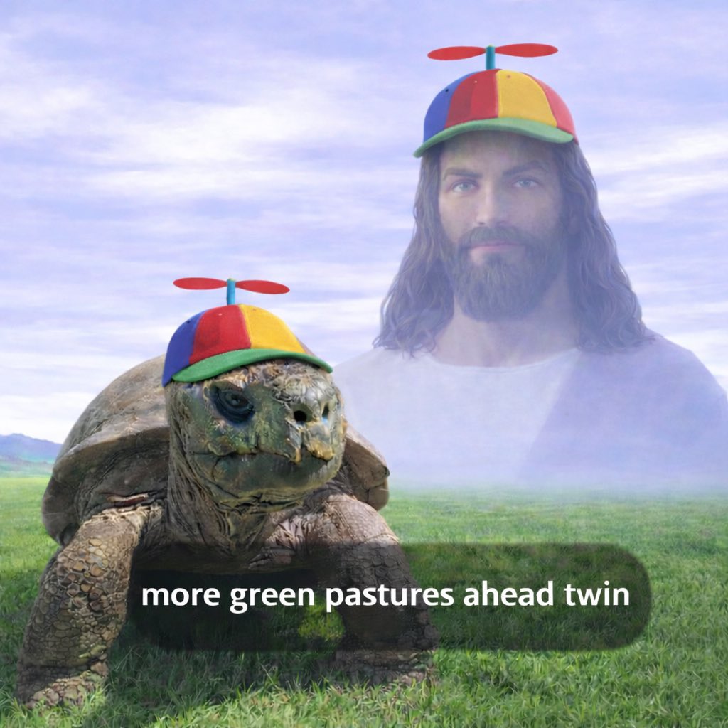 Jonathan The Tortoise (Worlds Oldest Animal) (@oldestanimal) on Twitter photo 