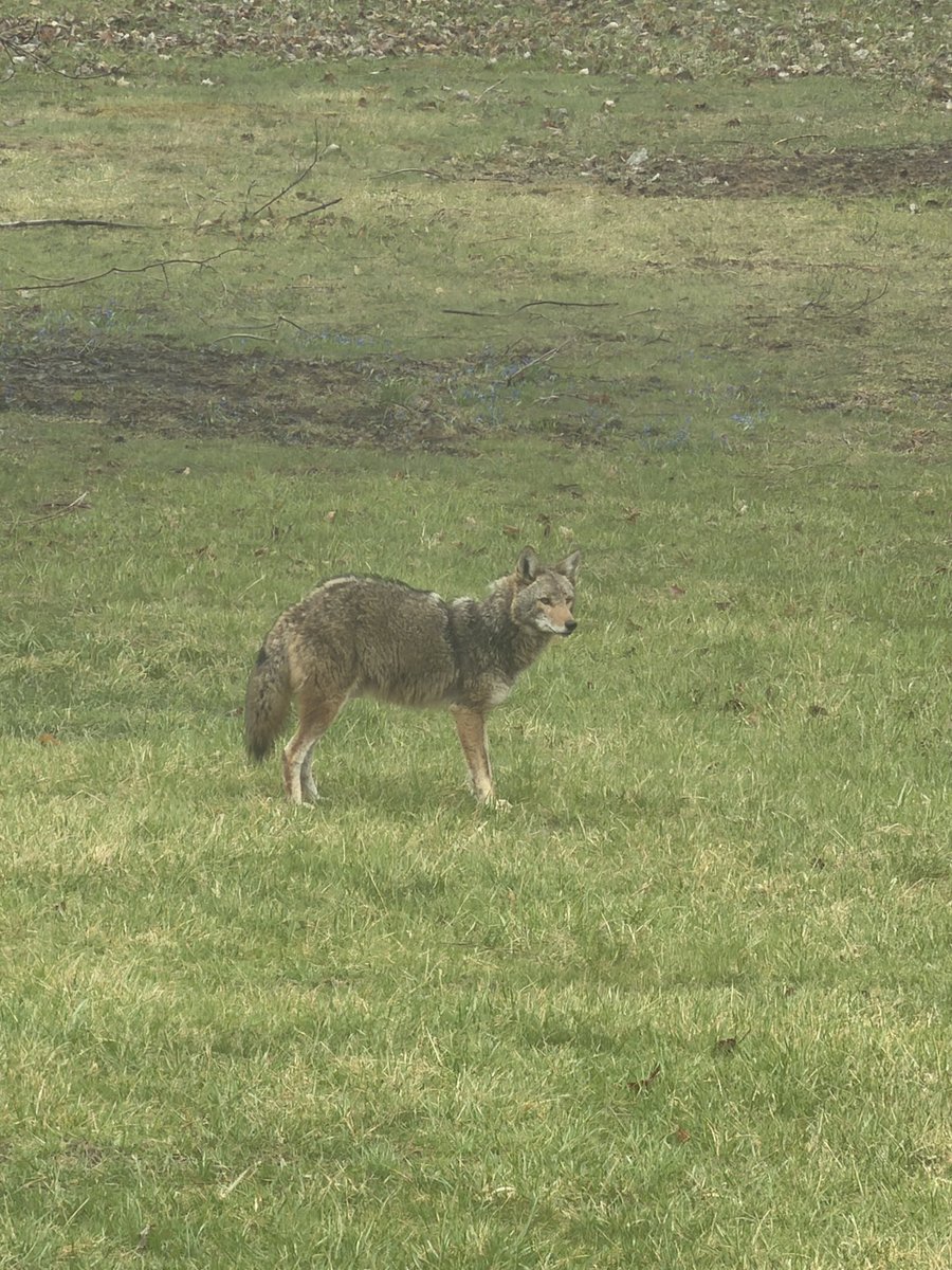 jake: the fool tweet media