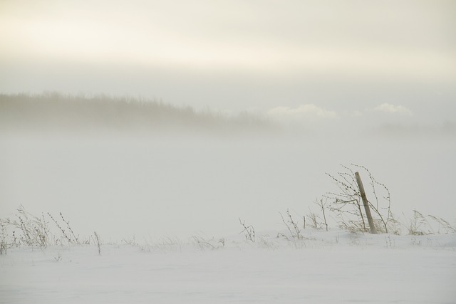 Bradley Brickman tweet media