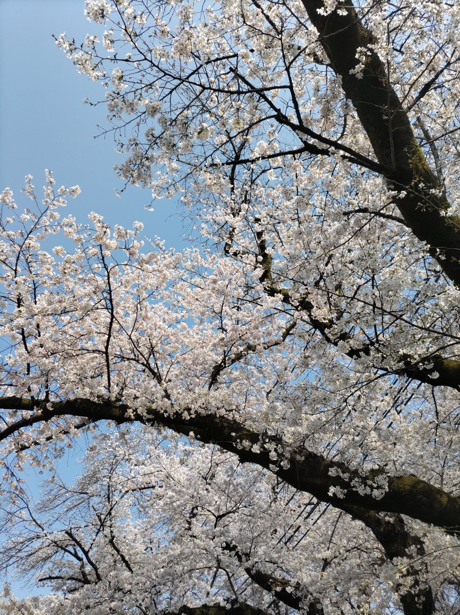 高田慶二 tweet media