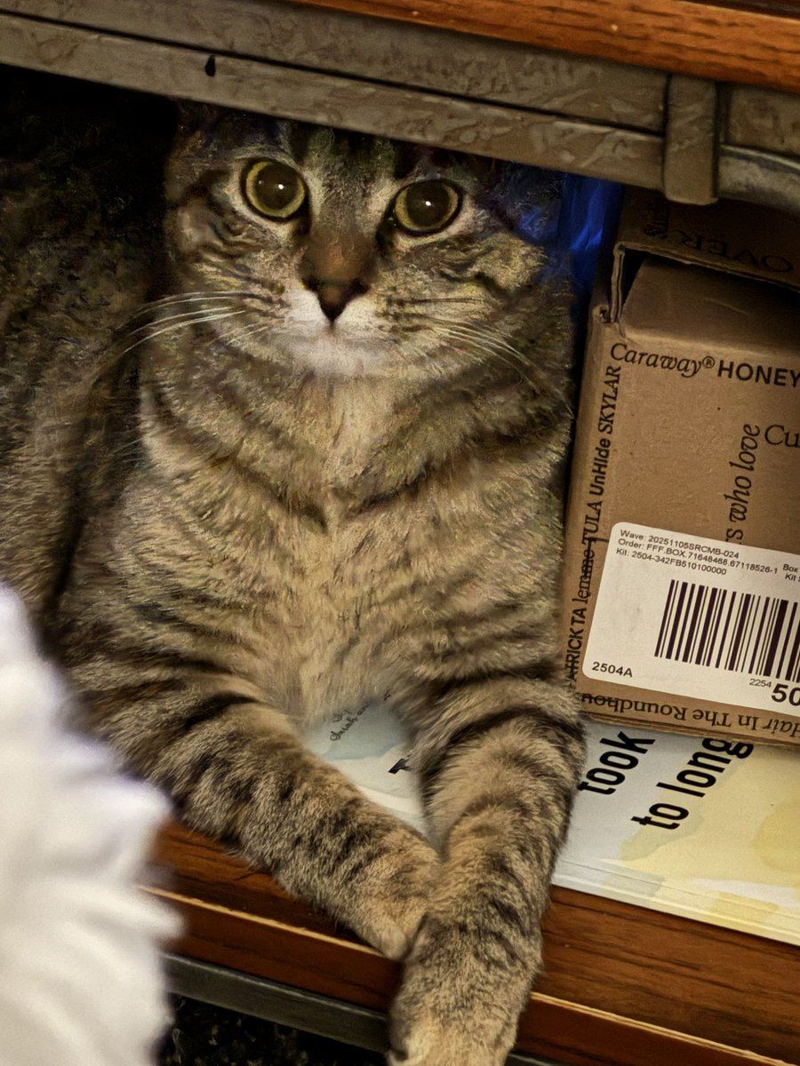 X-Ray Barbie💞; Sarah with an H (Mama Smoke) tweet media