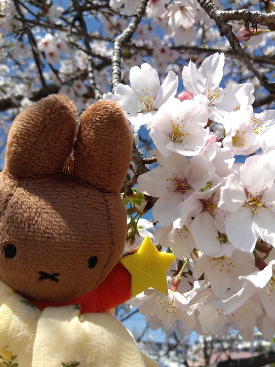 一嬢ルルナ💗*·̩͙ Vtuber tweet media