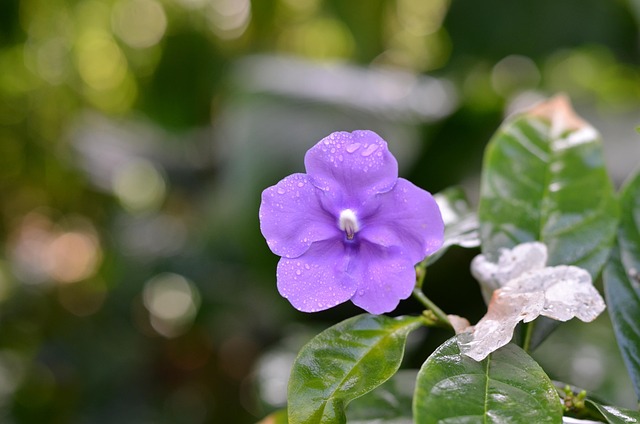 Kari Wright tweet media