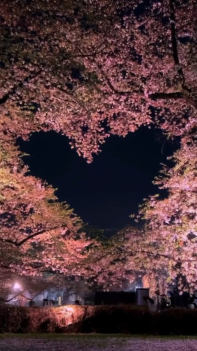 Aesthetics tweet media