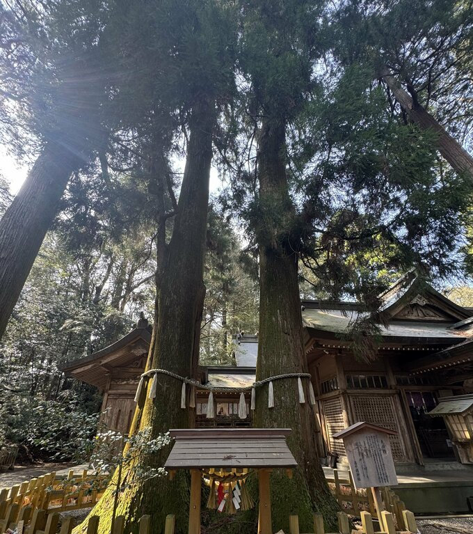 【公式】TBS芸能&情報まとめ tweet media