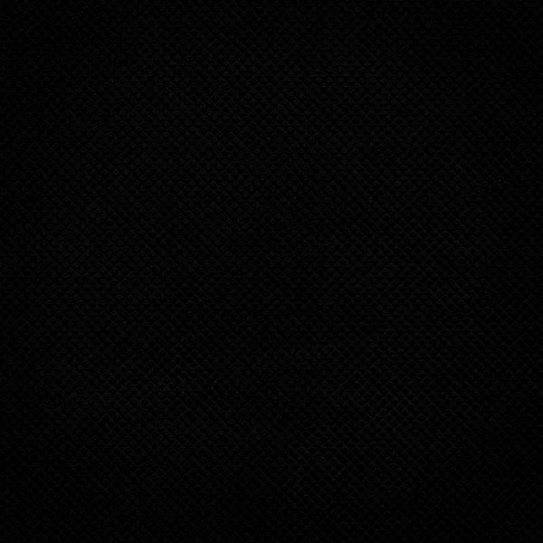 —‍‍ ‍ ‍ kitten .ᐟ ༢ tweet media