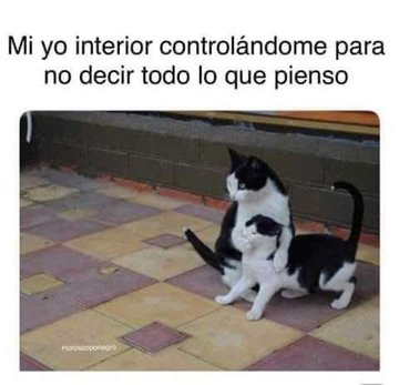 FraseSimple's tweet photo. https://t.co/qXTQPynx7G