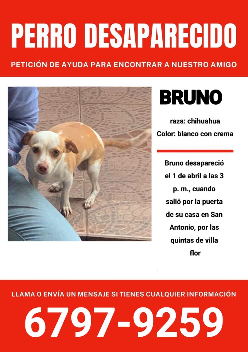 Ivette Berrio tweet media