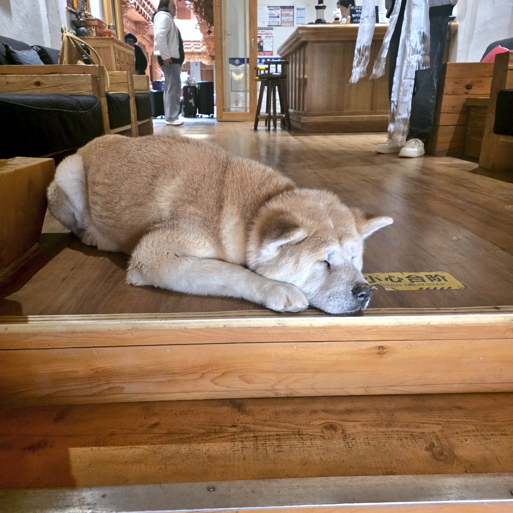 nazferatu 🍉 tweet media