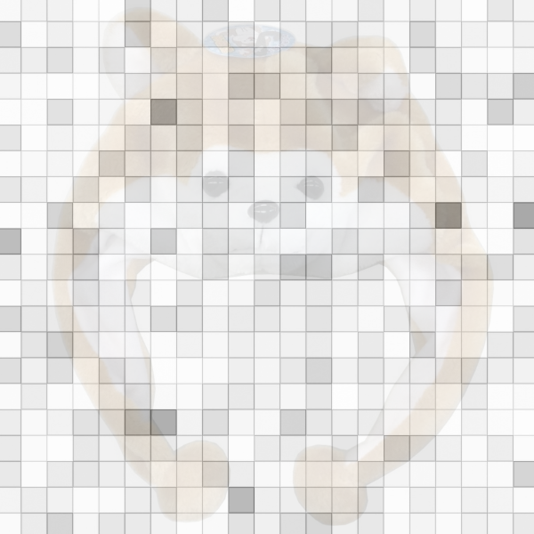 KAZU|秋田のWeb相談役 tweet media