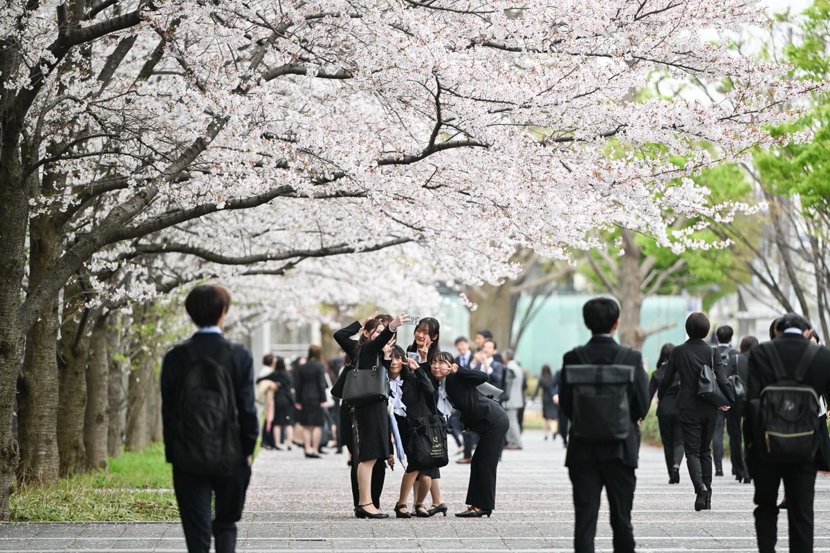 慶應義塾 tweet media