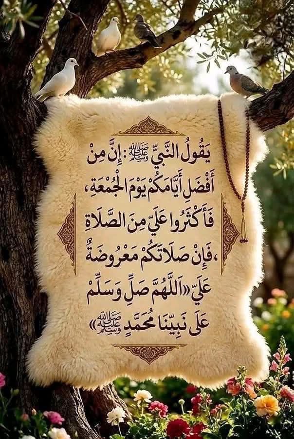 وطن يعني حصن tweet media