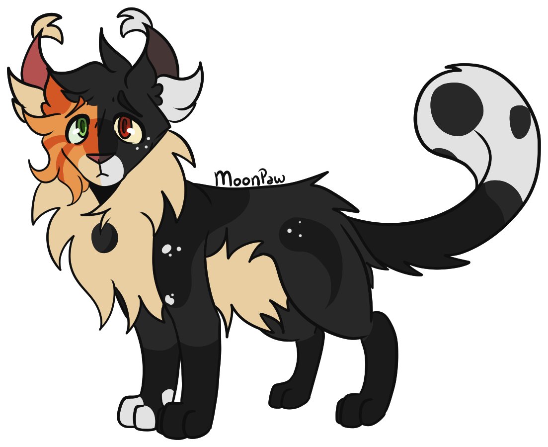 Benjamin ✿ tweet media