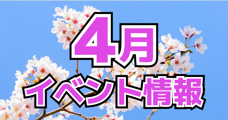 LivePocket【公式】 tweet media