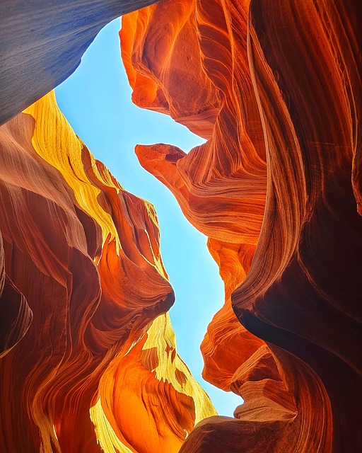 Lucile Craig tweet media