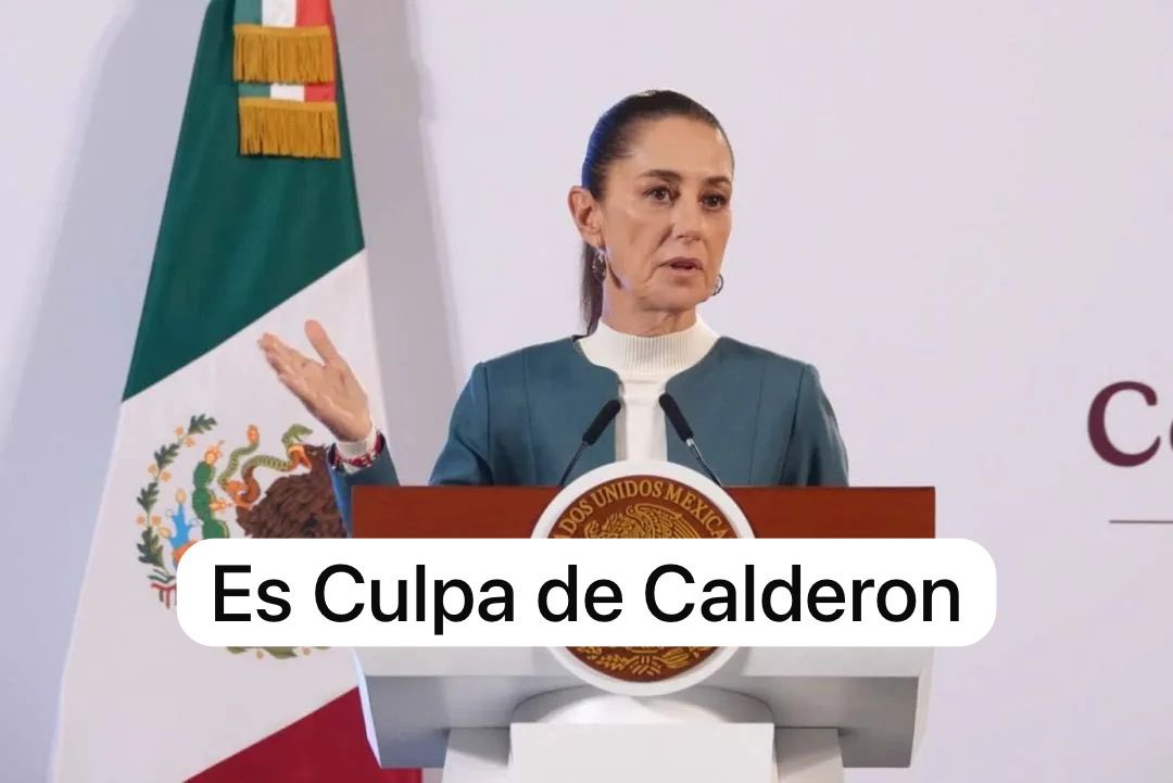 Daniel Castellanos Jr tweet media