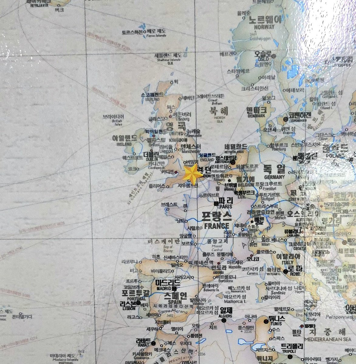 장다니 tweet media