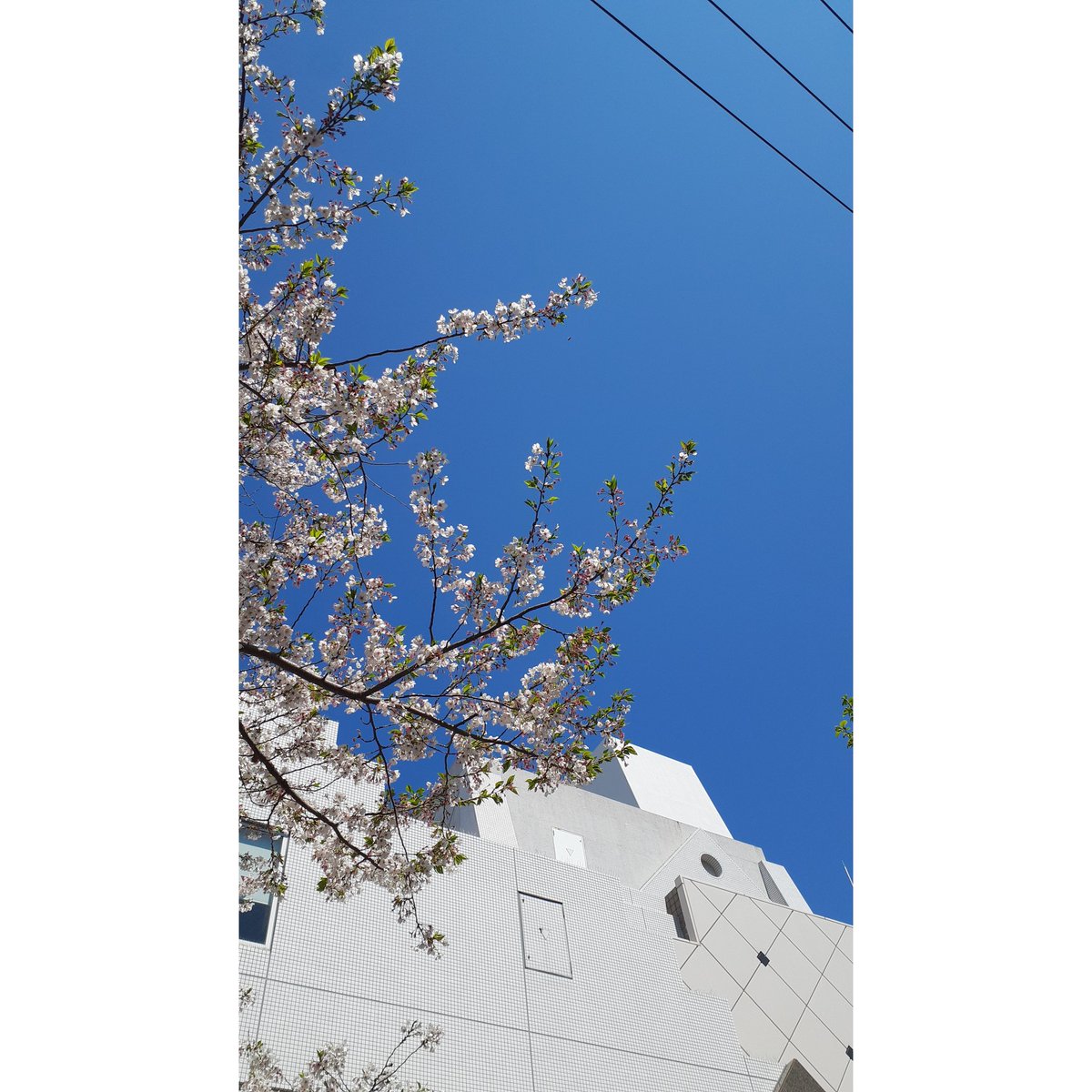 Tim Harvey tweet media