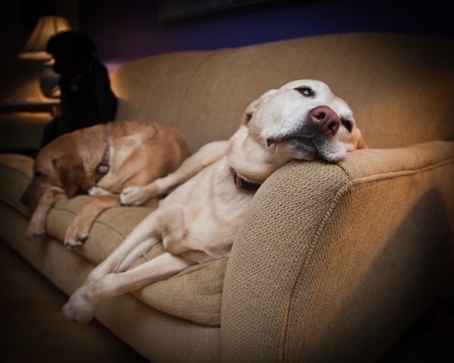 Jimmy Lusk tweet media