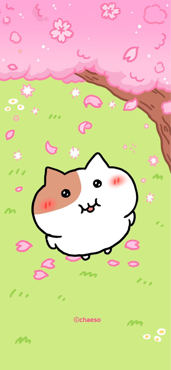 もちにゃみ tweet media