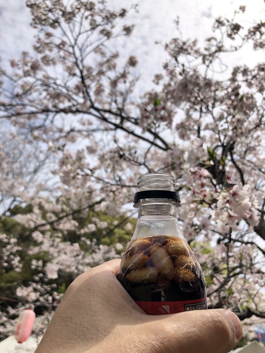 Dang@インターセプター😆😆 tweet media