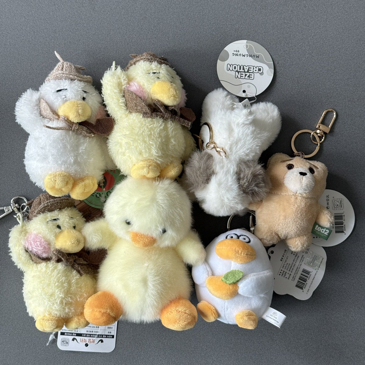 쏠라씨 tweet media