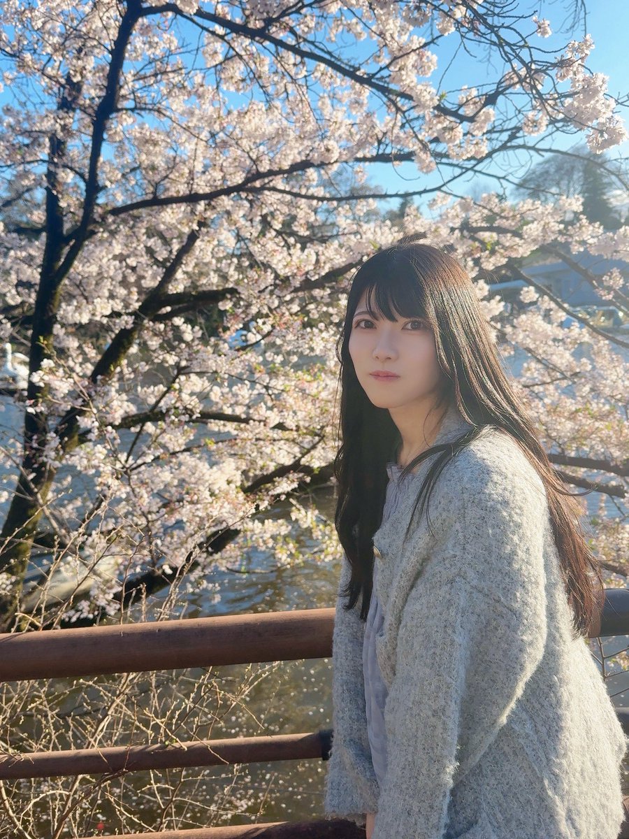 高咲 佳菜恵 (@canasakisaki) / Posts / X 高咲 佳菜恵 (@canasakisaki) / Posts / X