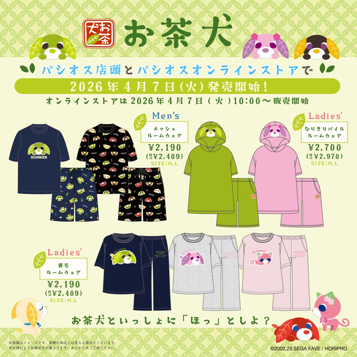 お茶犬【公式】 tweet media