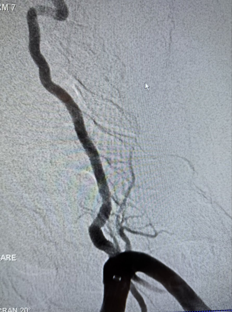 Prof Ramesh K Tripathi tweet media