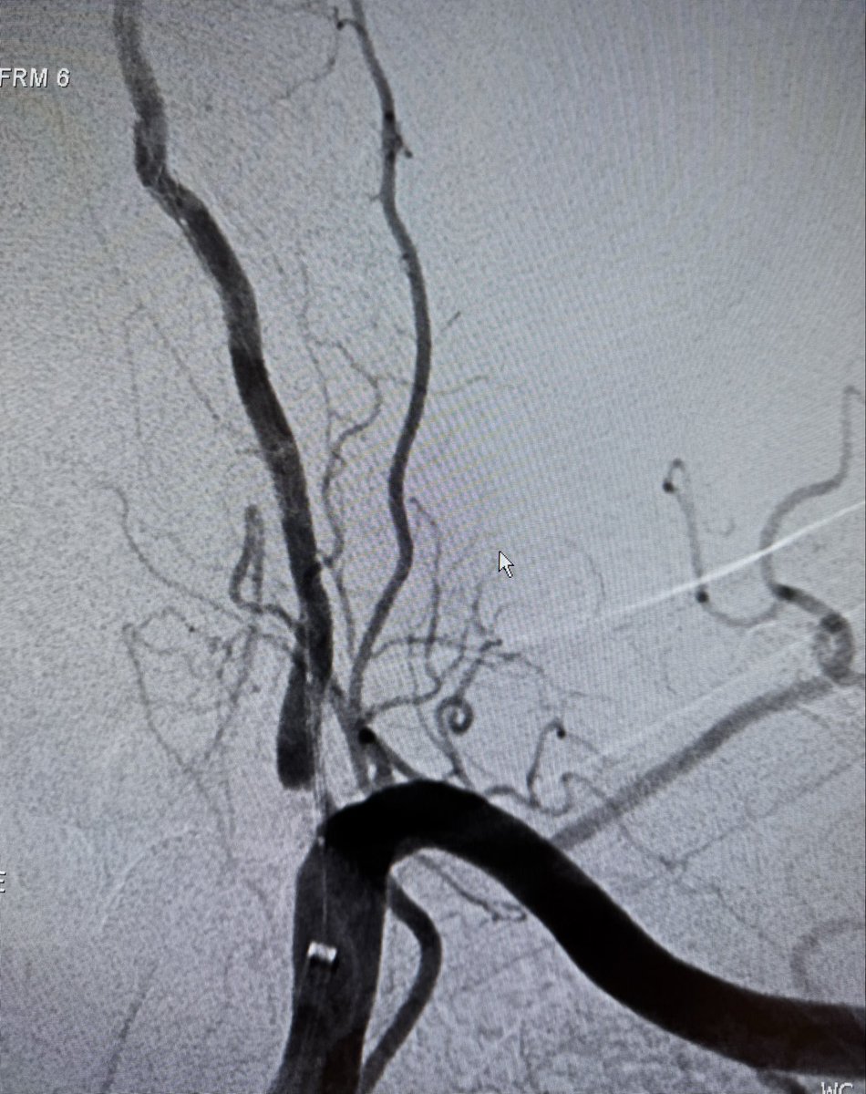 Prof Ramesh K Tripathi tweet media