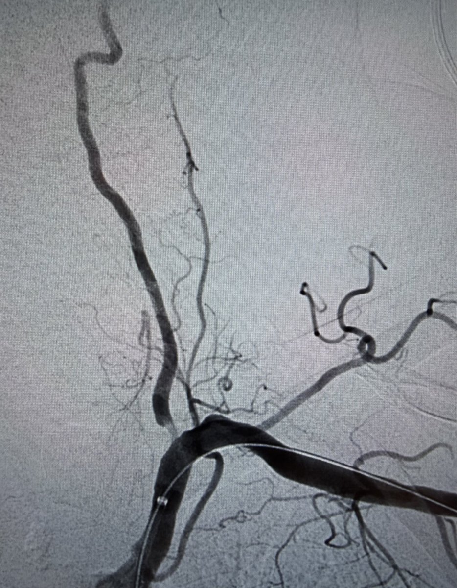 Prof Ramesh K Tripathi tweet media