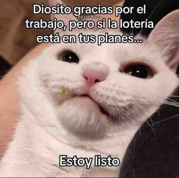 FraseSimple's tweet photo. https://t.co/FlRClVY9GD