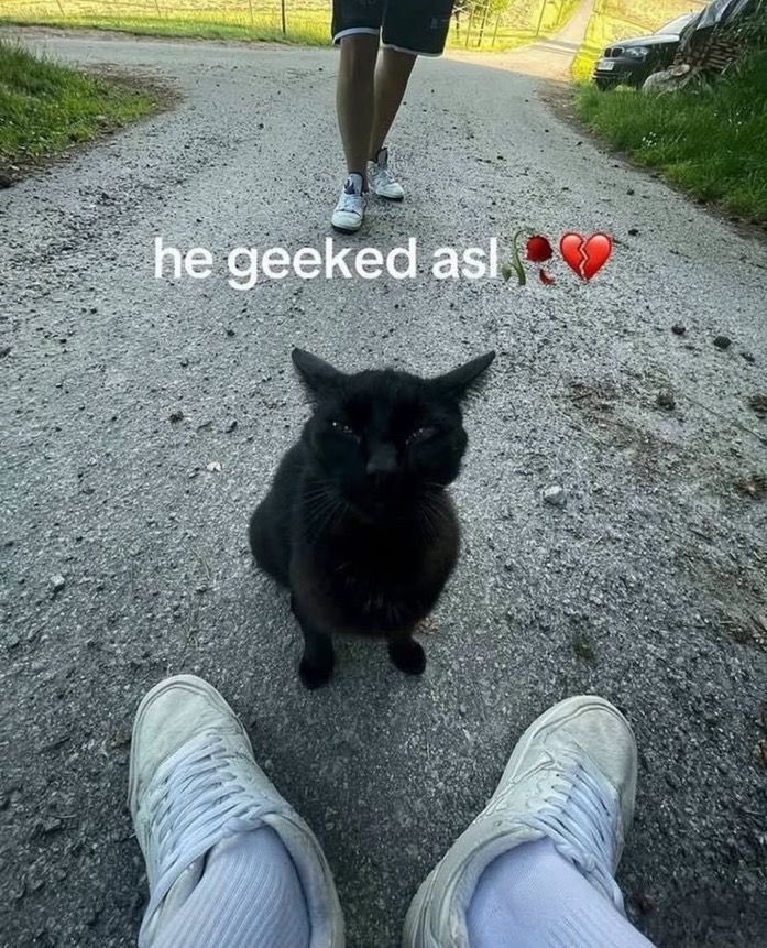 The AceofLust tweet media