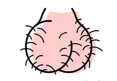 Central do Braga tweet media