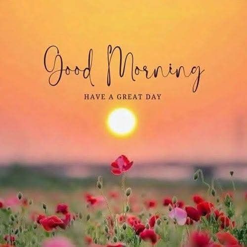 Sawan 🇮🇳 tweet media