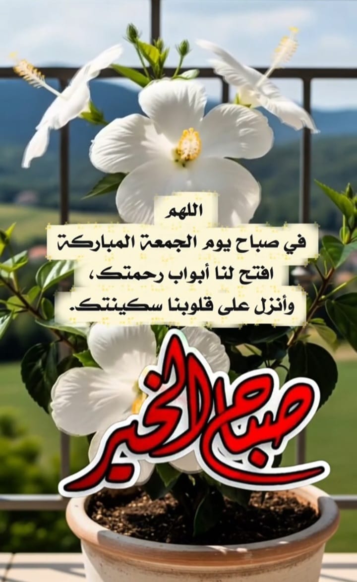 اتركوا عنكم ما يرهقكم وسامحوا وابدؤوا من جديد فكل يوم هو فرصة جديدة لحياة أجمل ، واجعلوا ألسنتكم عامرة بالذكر وقلوبكم مليئة باليقين فالقادم بإذن الله يحمل لكم من الخير ما يبهج قلوبكم. 

أسأل الله أن يكتب لك أياماً مليئة بالراحة وأن يرزقك سعادة لا تزول وفرحاً لا ينتهي🤲🏻🤲🏻